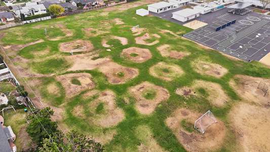 Adams Elementary School (K-6) Field - Utility in Costa Mesa