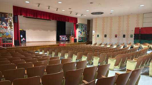 Webster - Daniel Webster Elementary School Theater in Chicago 3