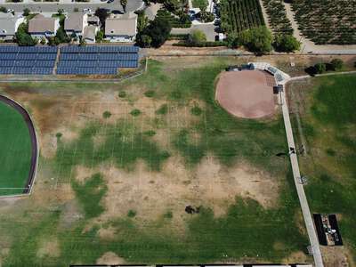 Freedom High School Softball JV Grass & Diamond in Oakley