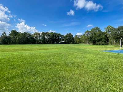 Quail Hollow Elementary School Field - Practice 1 in Wesley Chapel