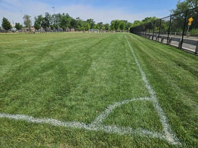 Dundee Island Park Soccer Field in Passaic 3