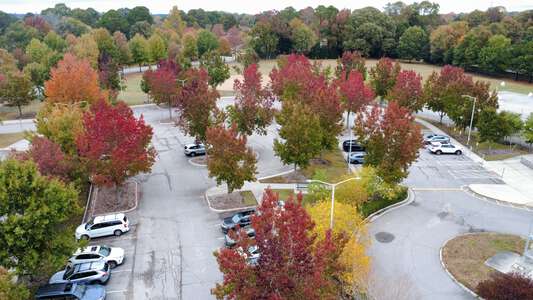 Virginia Beach Parking Lot - Visitor