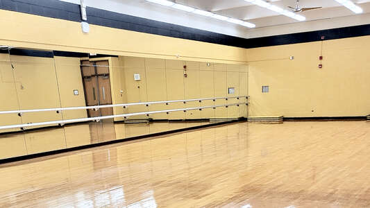 King - Dr. Martin Luther King Jr College Prep High School Dance Studio in Chicago