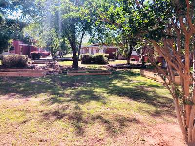 Lincoln Complex Community Garden in Albany