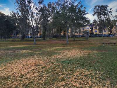 Essrig Elementary School (1431) Field - Practice in Tampa