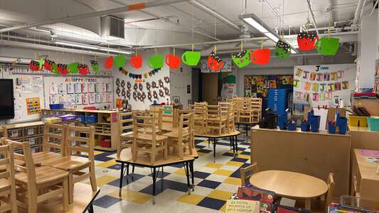 Cameron - Daniel R Cameron Elementary School Classroom Standard in Chicago 2