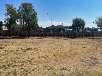Ben Milam Elementary School Field - Practice in Dallas