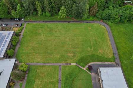 Outside Lawn