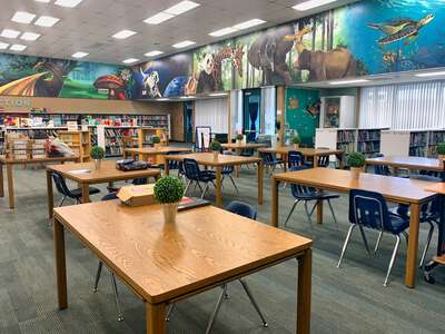 Hunter's Green Elementary School (1941) Library in Tampa 3