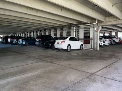 Rampello Downtown Magnet K-8 (4251) Rampello Garage - Level 1 Parking Spaces in Tampa