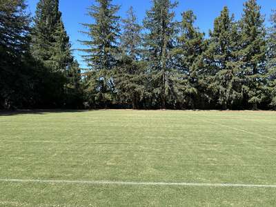 Louise Van Meter  Field - Soccer Field (1) in Los Gatos