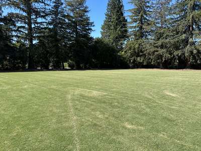 Louise Van Meter  Field - Soccer Field (1) in Los Gatos