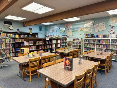 Murray Elementary School Library in Dublin