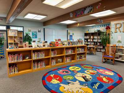 Murray Elementary School Library in Dublin