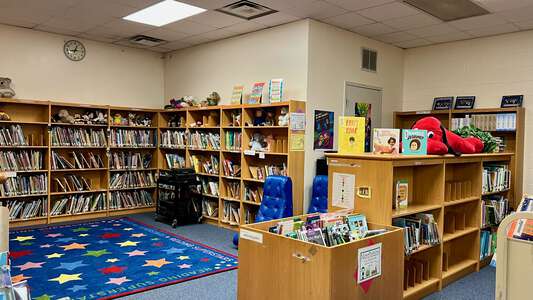 Edward J Briscoe Elementary School Library in Fort Worth