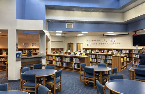 Tisinger Elementary School Library in Mesquite