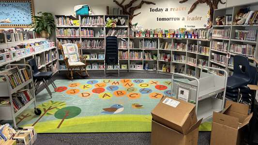 Hayden Meadows Elementary School Library in Hayden