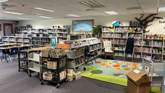 Hayden Meadows Elementary School Library in Hayden