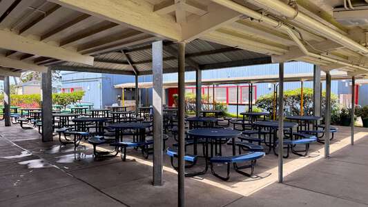 Torrey Pines Elementary School Lunch Arbor in San Diego 2