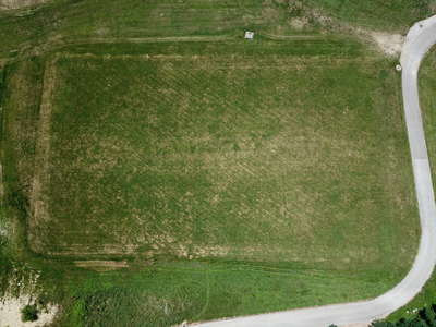 William Chrisman High School Field - Lower Grass in Independence