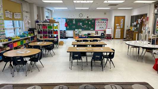 Linne - Carl von Linne Elementary School Classroom Standard in Chicago 2