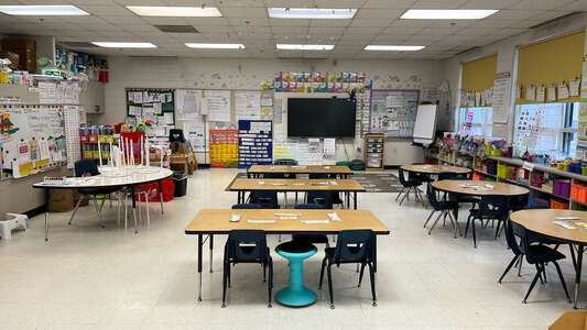 Linne - Carl von Linne Elementary School Classroom Standard in Chicago 3