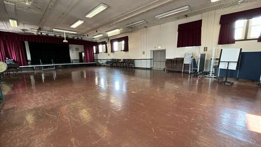 Linne - Carl von Linne Elementary School Assembly Hall in Chicago 2