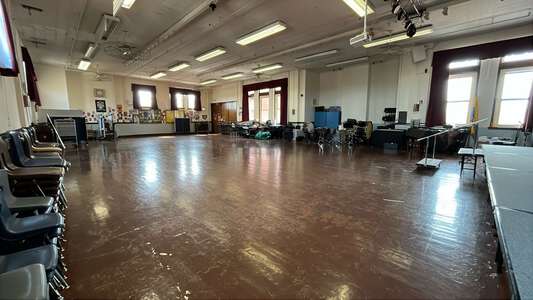 Linne - Carl von Linne Elementary School Assembly Hall in Chicago 3