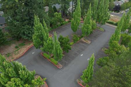 Scholls Heights Elementary School Parking Lot in Beaverton