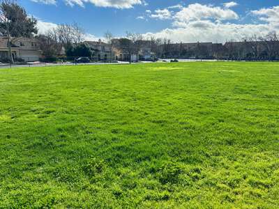 James Dougherty Elementary School Field - Practice in Dublin