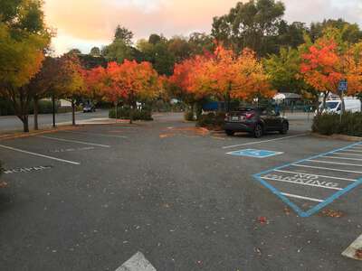 Sun Valley Elementary School Parking Lot - Staff in San Rafael