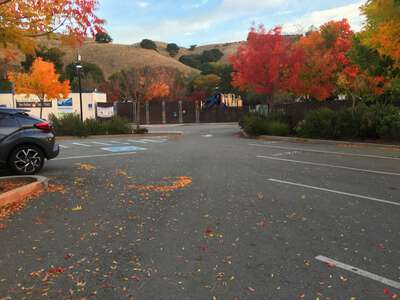 Sun Valley Elementary School Parking Lot - Staff in San Rafael