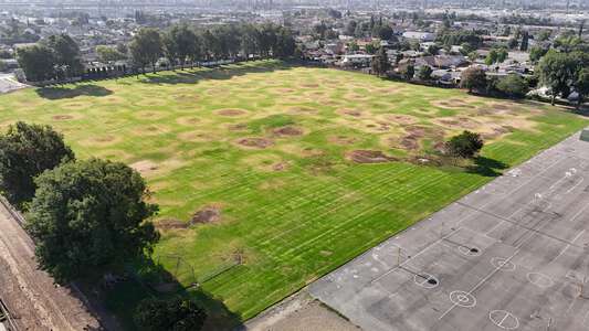 Taft Elementary School Field - Soccer in Orange