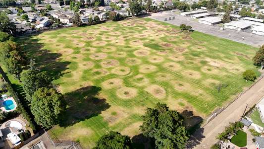 Taft Elementary School Field - Soccer in Orange