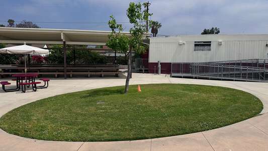 Hugo Reid Primary School Quad in Arcadia