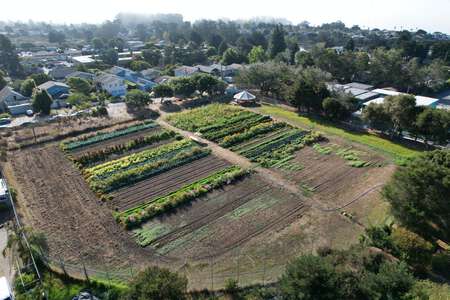 Del Mar Elementary School Garden in Santa Cruz