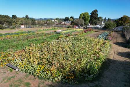 Del Mar Elementary School Garden in Santa Cruz