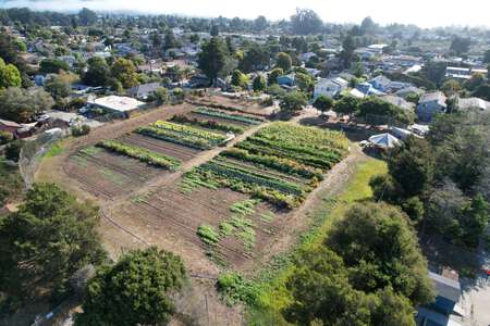 Del Mar Elementary School Garden in Santa Cruz