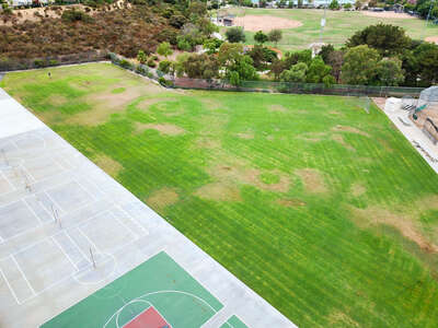 Dingeman Elementary School Field - Practice (Joint Use) in San Diego