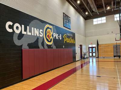 Collins PK-8 (0065) Gym in Riverview