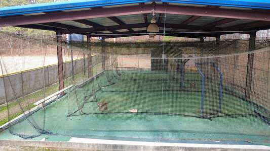 Dacula Batting Cages