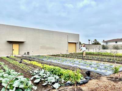 Magnolia Agriscience Community Center (MACC) MACC in Anaheim