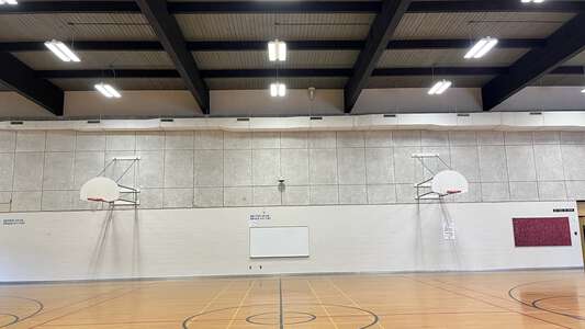 Little Gym