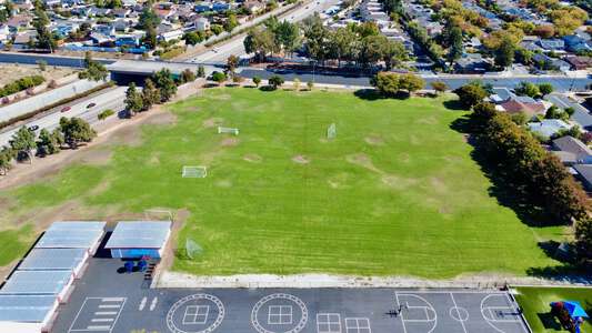 Athenour Field - Large in San Jose