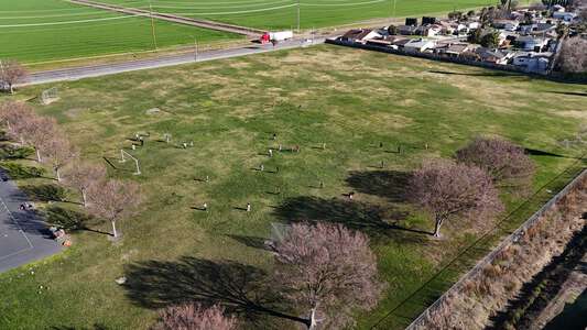Westwood Elementary School Field - Practice in Stockton