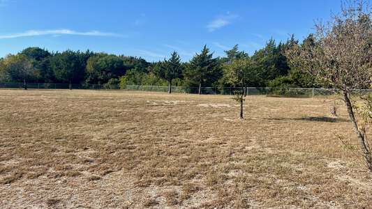 Thomas Tolbert Elementary School Field - Practice 3 (Grass) in Dallas