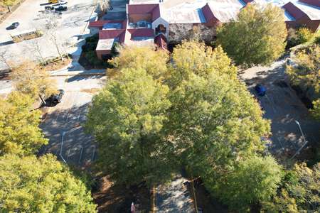 Corporate Landing Elementary School Parking Lot - Staff in Virginia Beach