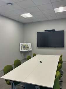 Chicago Hackberry - 164