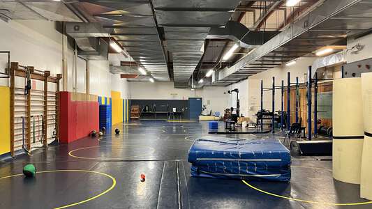 Wrestling Gym