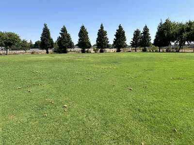 Bakman Elementary School Parking Lot - 2 in Fresno